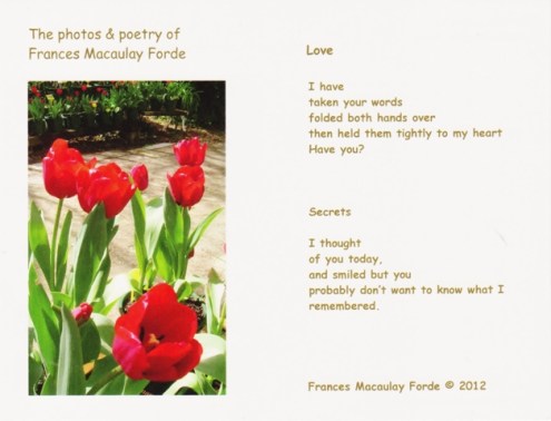 12PCRedTulipsLoveSecretsw