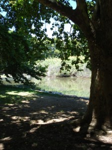 ???????????????????????????????