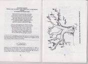 Peace & Freedom Mag'CockatooChorus' 001