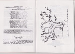 Peace & Freedom Mag'CockatooChorus' 001