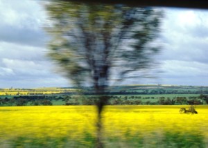 12Aug30Dowerin (17)W