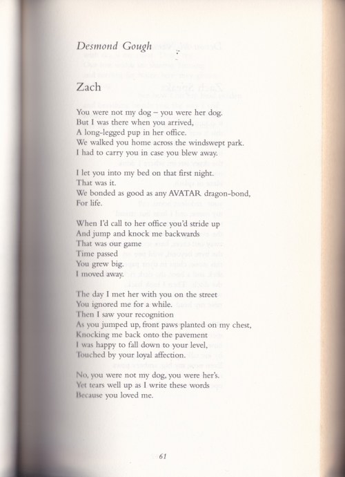 140906DogsSingingDOC