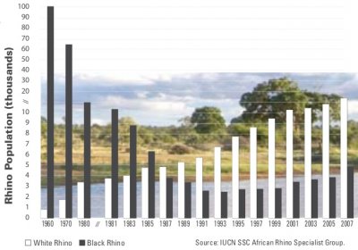 white rhino population growth graph