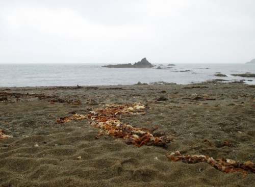 Garrarus Beach, Co. Waterford