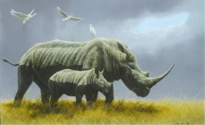 after the mudwallow closeup