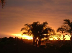 2005_0807august20008