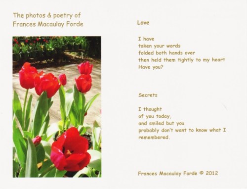 12PCRedTulipsLoveSecretsw