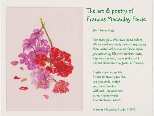 12PCGeraniumsDoIKnowYouWEB