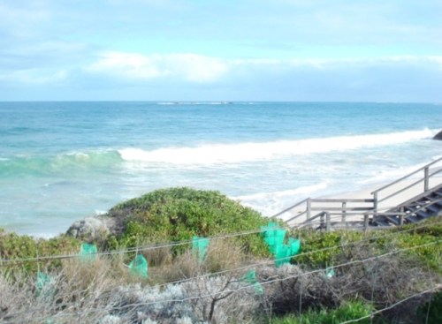 130506BBCPhotos (4)w