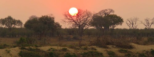 letters-from-zimbabwe