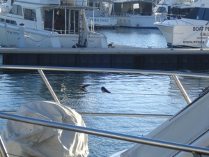 ???????????????????????????????